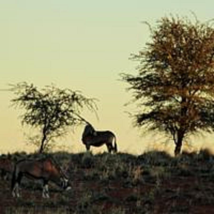 Gondwana Kalahari Farmhouse Stampriet Exterior foto